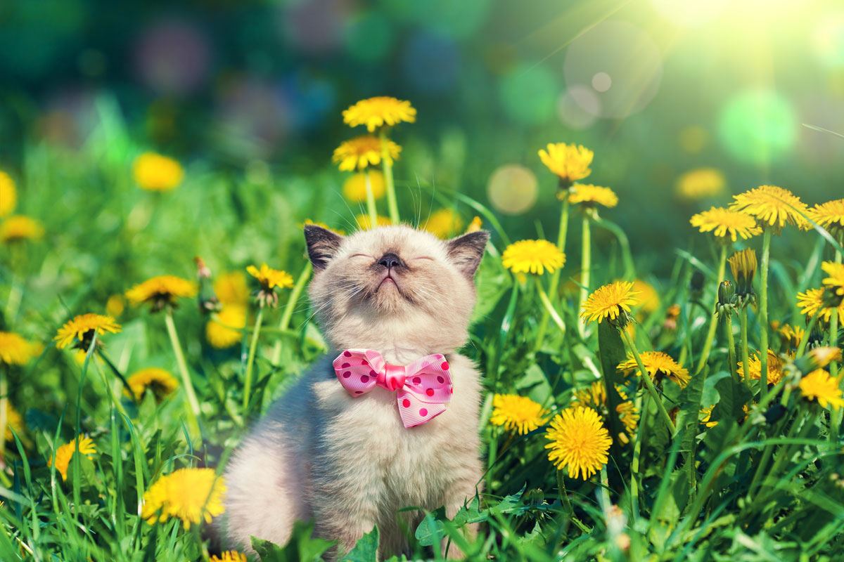 Marching Towards Spring!