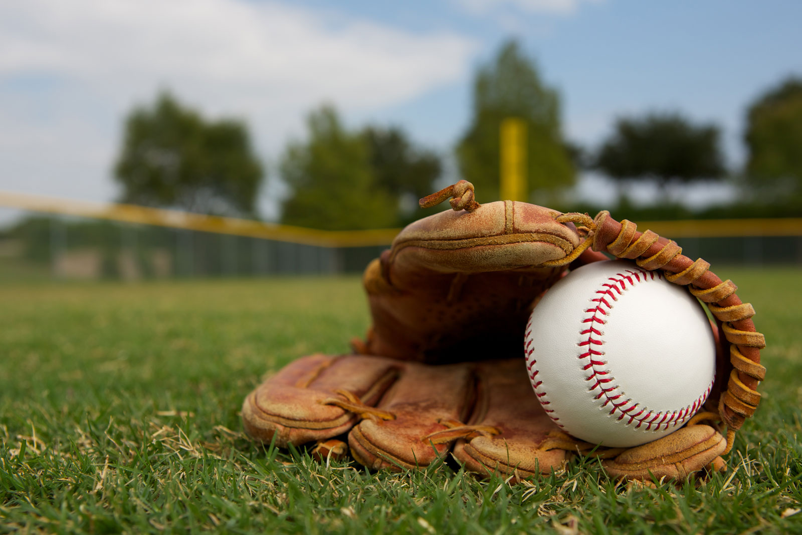LIttle League Baseball History